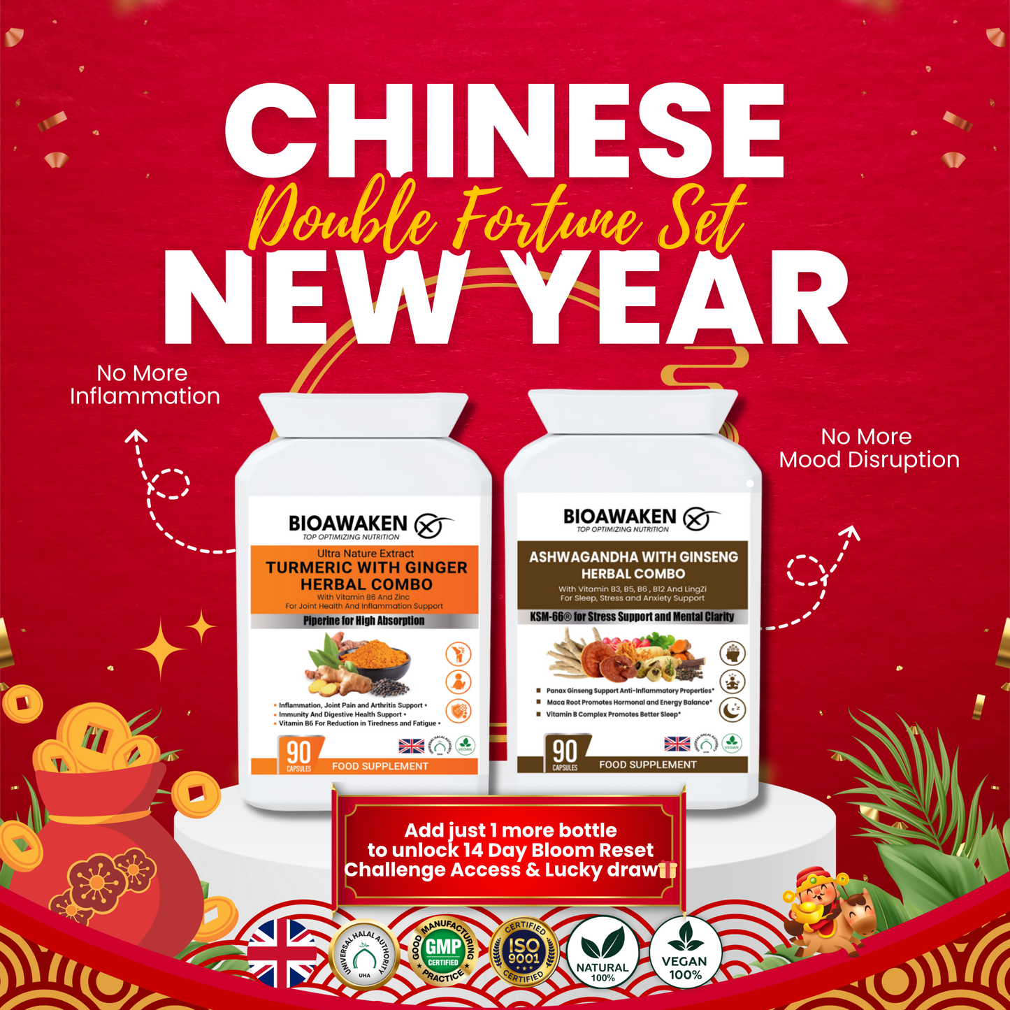 Chinese New Year (Double Fortune Huat Lah!)