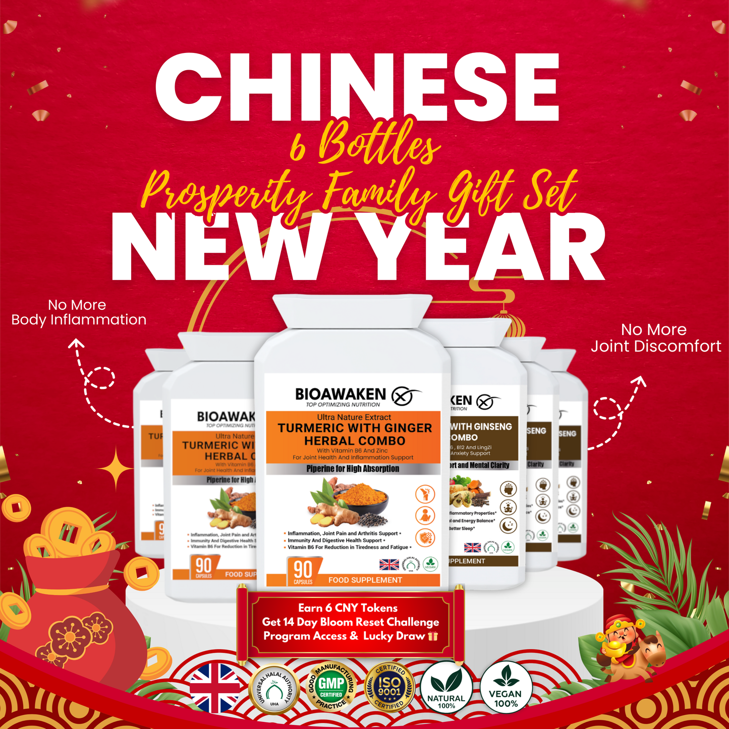 Chinese New Year (Double Fortune Huat Lah!)