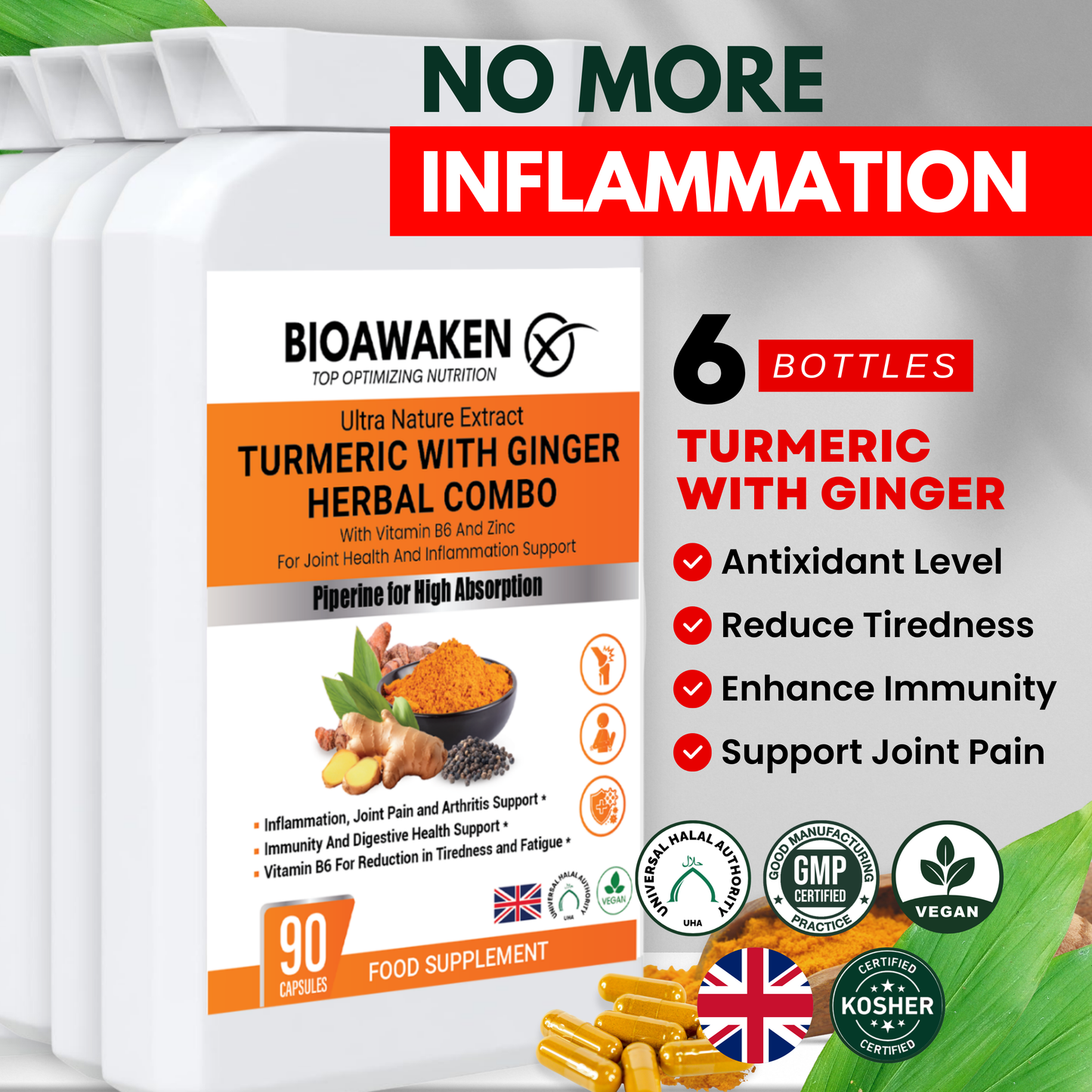 BioAwaken Turmeric with Ginger Herbal Combo