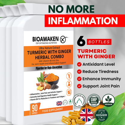 BioAwaken Turmeric with Ginger Herbal Combo